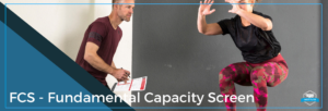 Fcs Fundamental Capacity Screen Pb Institute De